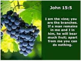 The words of John Chapter 15 verse 5