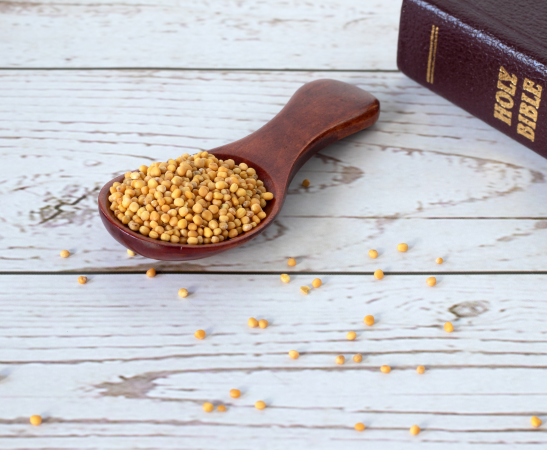 A spoonful of mustard seeds spilling onto the surface next to a holy bible.