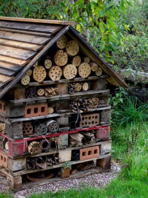 Bug Hotel